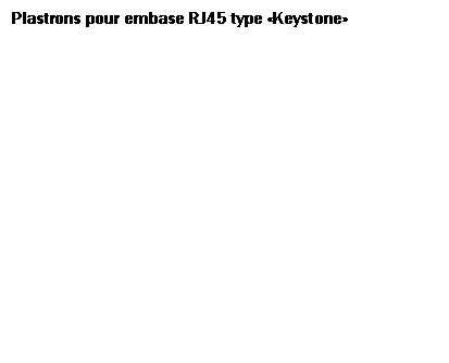 Zone de Texte:  Plastrons pour embase RJ45 type Keystone
